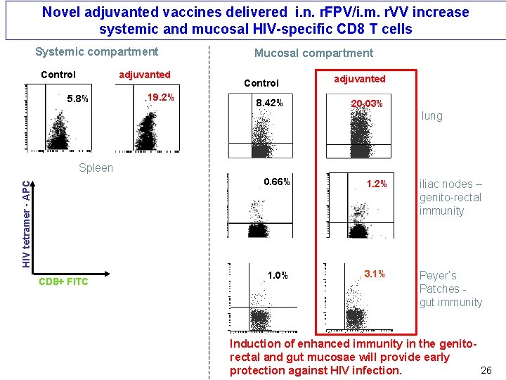 Novel adjuvanted vaccines delivered i. n. r. FPV/i. m. r. VV increase systemic and