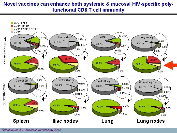 (ii) FPV HIVVV HIV (i) FPV HIV∆10/ VV HIV∆10 Novel vaccines can enhance both