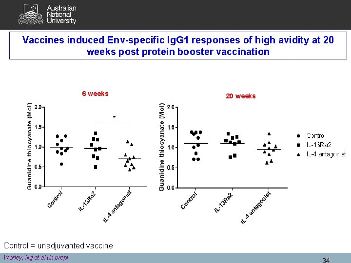 Vaccines induced Env-specific Ig. G 1 responses of high avidity at 20 weeks post