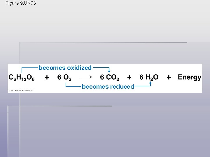 Figure 9. UN 03 becomes oxidized becomes reduced 