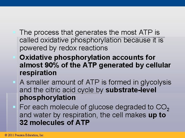 § The process that generates the most ATP is called oxidative phosphorylation because it