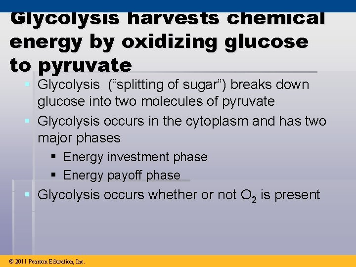 Glycolysis harvests chemical energy by oxidizing glucose to pyruvate § Glycolysis (“splitting of sugar”)