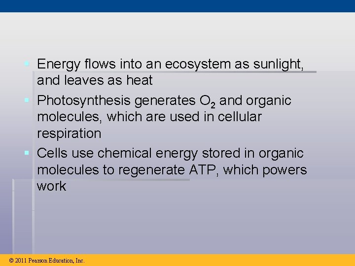 § Energy flows into an ecosystem as sunlight, and leaves as heat § Photosynthesis