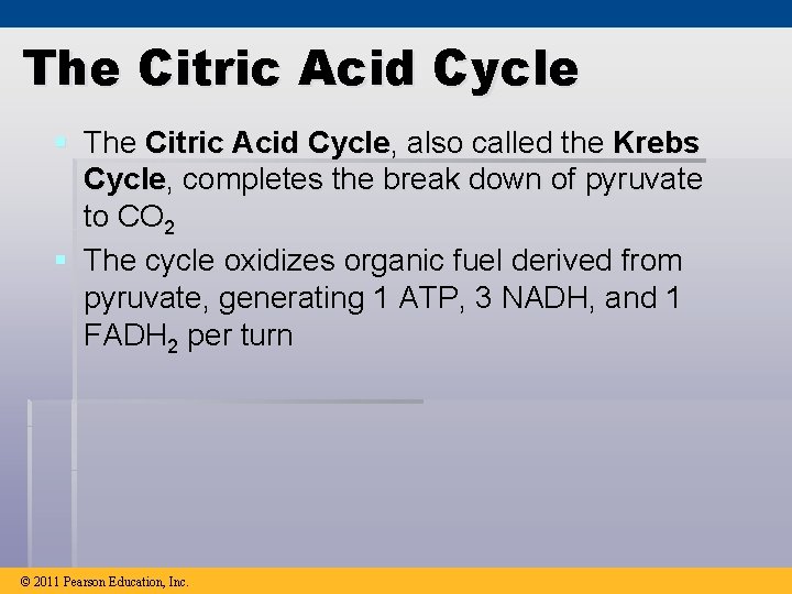 The Citric Acid Cycle § The Citric Acid Cycle, also called the Krebs Cycle,