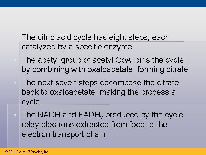  • The citric acid cycle has eight steps, each catalyzed by a specific