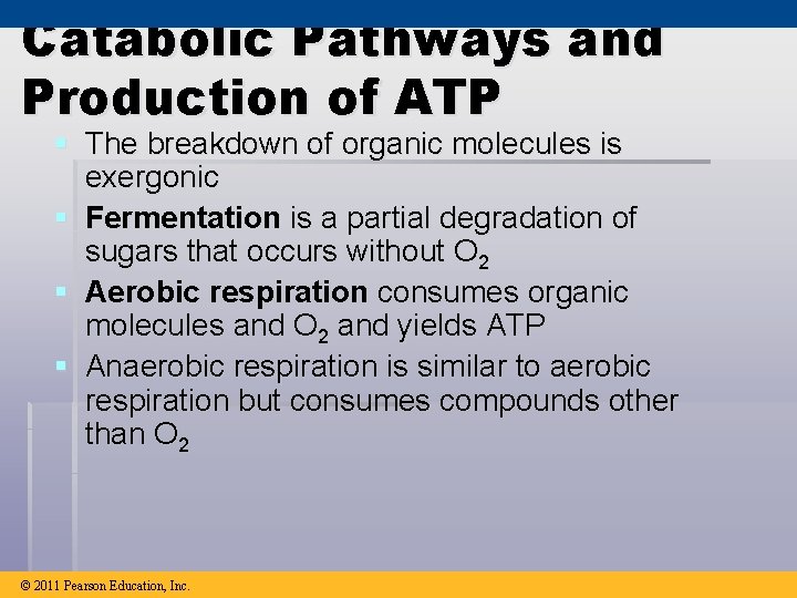 Catabolic Pathways and Production of ATP § The breakdown of organic molecules is exergonic