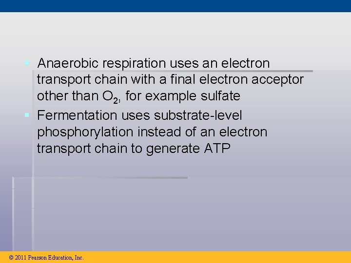 § Anaerobic respiration uses an electron transport chain with a final electron acceptor other
