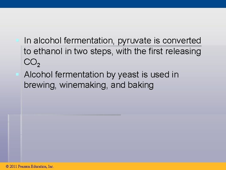 § In alcohol fermentation, pyruvate is converted to ethanol in two steps, with the