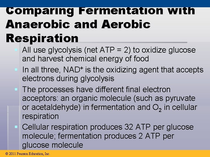 Comparing Fermentation with Anaerobic and Aerobic Respiration § All use glycolysis (net ATP =