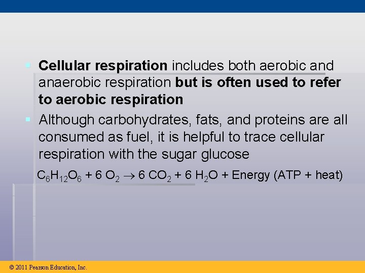 § Cellular respiration includes both aerobic and anaerobic respiration but is often used to
