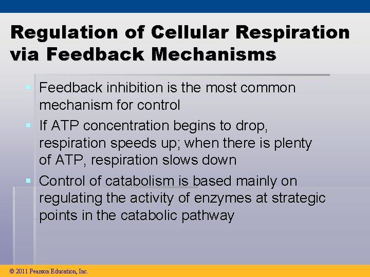 Regulation of Cellular Respiration via Feedback Mechanisms § Feedback inhibition is the most common