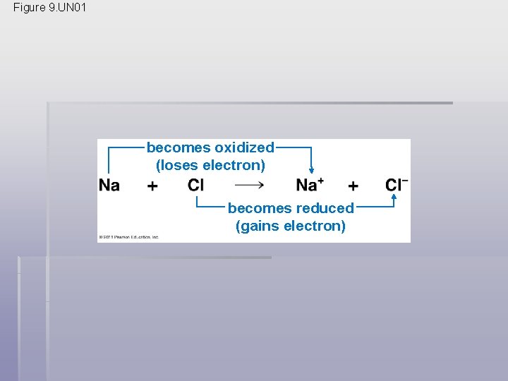 Figure 9. UN 01 becomes oxidized (loses electron) becomes reduced (gains electron) 