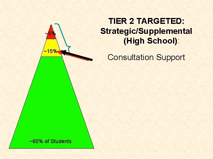 ~5% ~15% ~80% of Students TIER 2 TARGETED: Strategic/Supplemental (High School): Consultation Support 