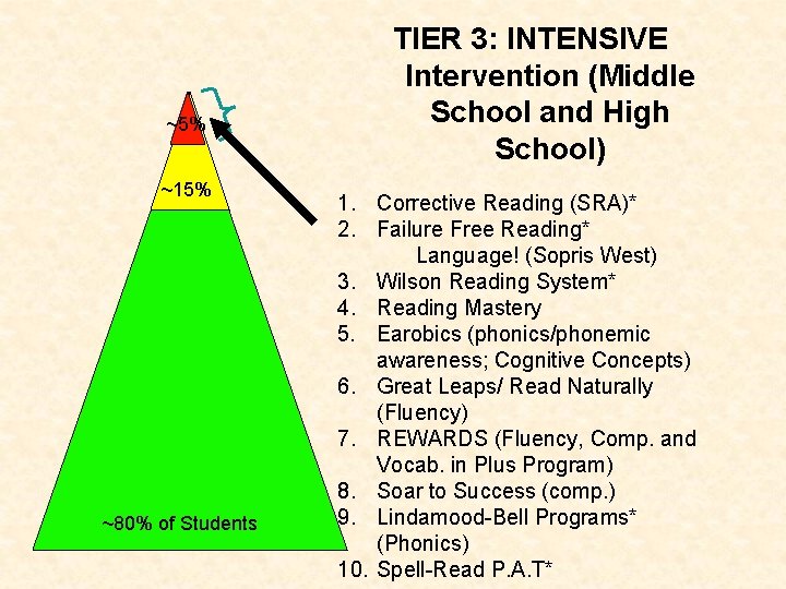 ~5% ~15% ~80% of Students TIER 3: INTENSIVE Intervention (Middle School and High School)