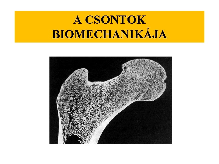 A CSONTOK BIOMECHANIKÁJA 