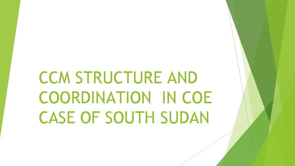 CCM STRUCTURE AND COORDINATION IN COE CASE OF SOUTH SUDAN 