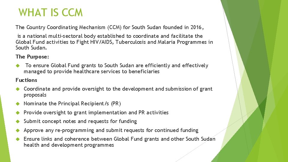 WHAT IS CCM The Country Coordinating Mechanism (CCM) for South Sudan founded in 2016,