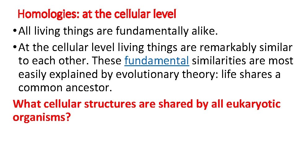 Homologies: at the cellular level • All living things are fundamentally alike. • At