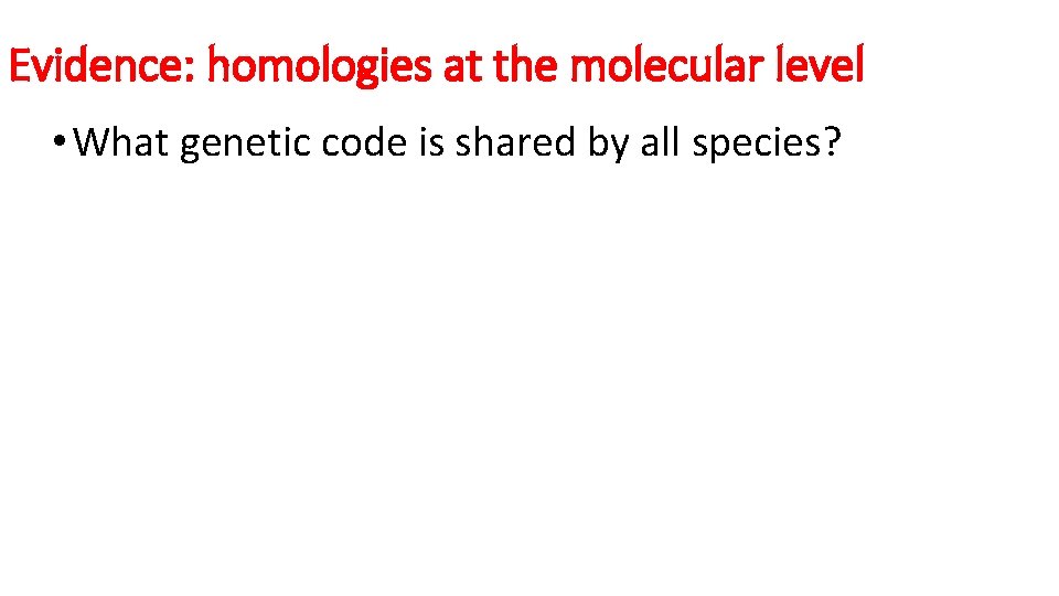 Evidence: homologies at the molecular level • What genetic code is shared by all