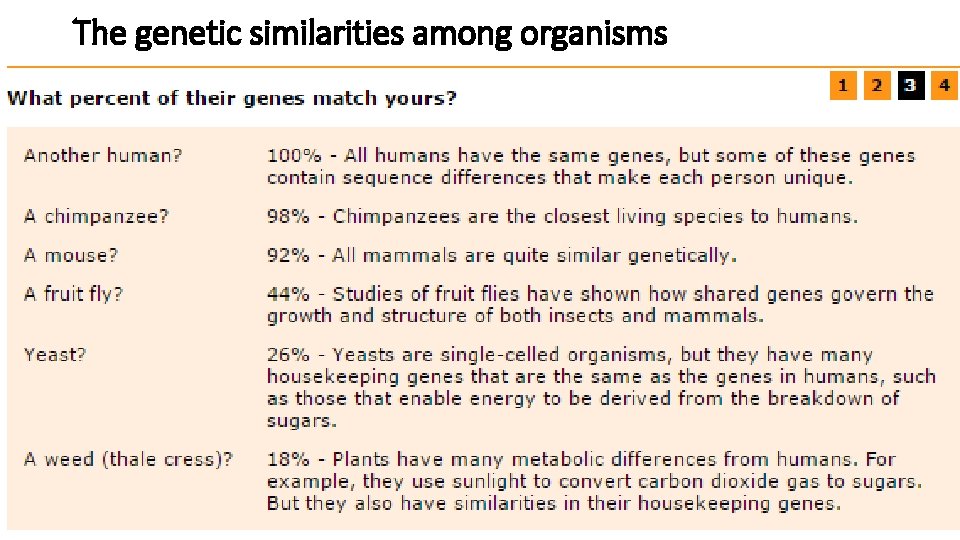 The genetic similarities among organisms 