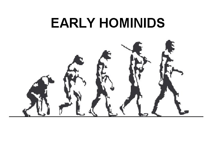 EARLY HOMINIDS 