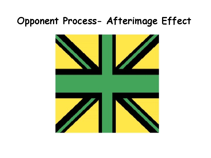 Opponent Process- Afterimage Effect Opponent Process- Afterimage Effect