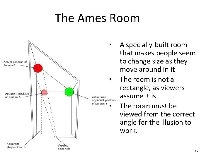 The Ames Room • • • A specially-built room that makes people seem to The Ames Room • • • A specially-built room that makes people seem to