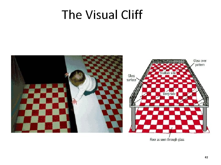 The Visual Cliff 62 The Visual Cliff 62
