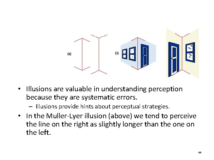Visual Illusions • Illusions are valuable in understanding perception because they are systematic errors. Visual Illusions • Illusions are valuable in understanding perception because they are systematic errors.