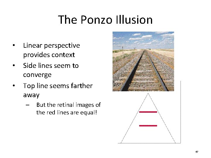 The Ponzo Illusion • • • Linear perspective provides context Side lines seem to The Ponzo Illusion • • • Linear perspective provides context Side lines seem to