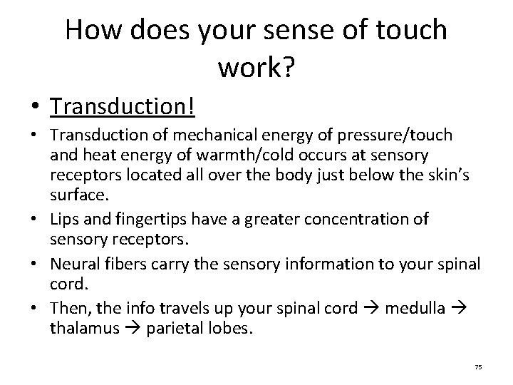 How does your sense of touch work? • Transduction! • Transduction of mechanical energy How does your sense of touch work? • Transduction! • Transduction of mechanical energy