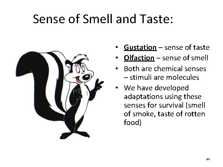 Sense of Smell and Taste: • Gustation – sense of taste • Olfaction – Sense of Smell and Taste: • Gustation – sense of taste • Olfaction –