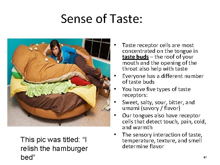 Sense of Taste: This pic was titled: “I relish the hamburger bed” • Taste Sense of Taste: This pic was titled: “I relish the hamburger bed” • Taste