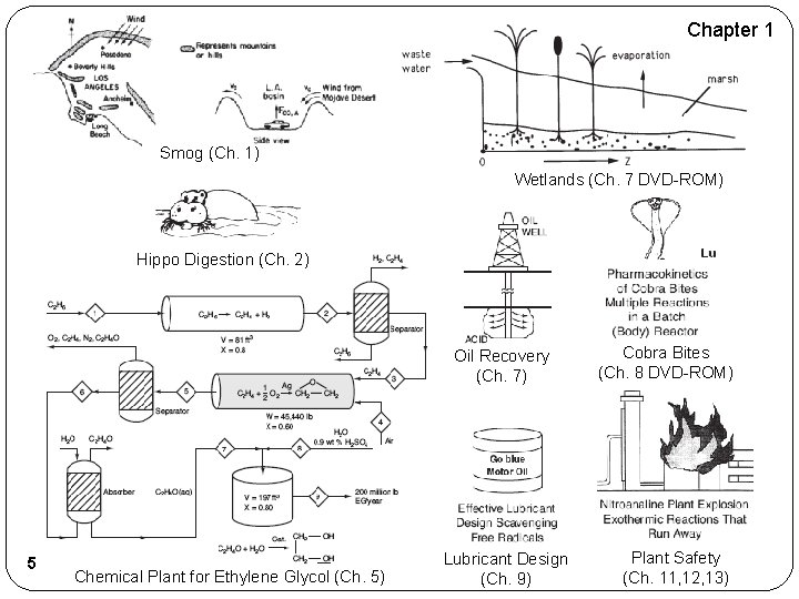 Chapter 1 Smog (Ch. 1) Wetlands (Ch. 7 DVD-ROM) Hippo Digestion (Ch. 2) Oil