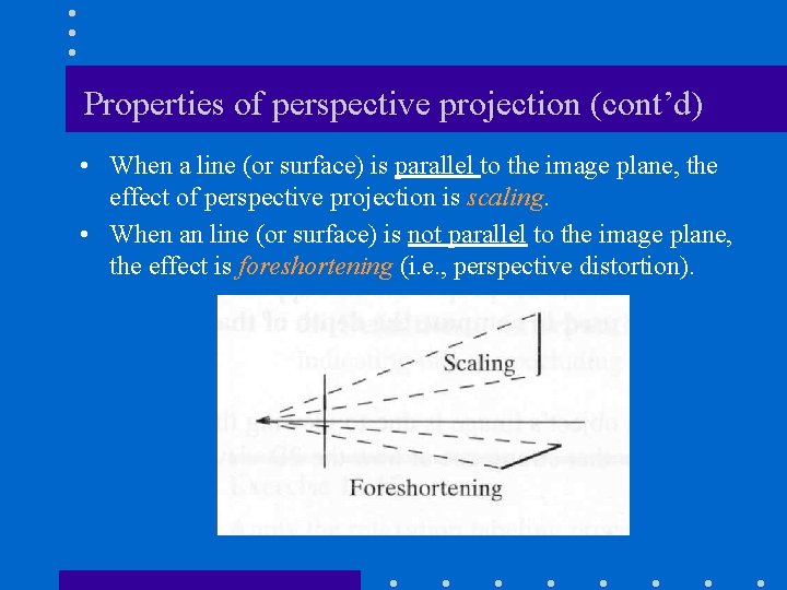 Properties of perspective projection (cont’d) • When a line (or surface) is parallel to