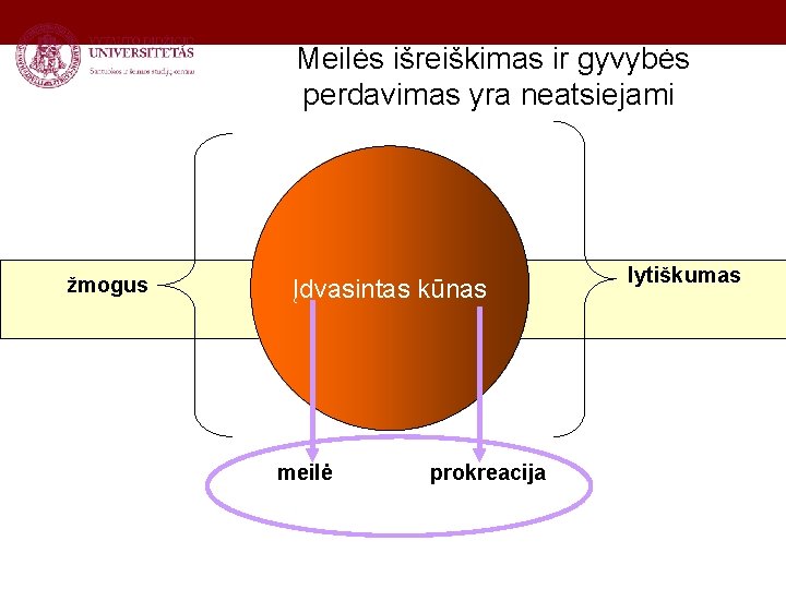 Meilės išreiškimas ir gyvybės perdavimas yra neatsiejami žmogus Įdvasintas kūnas meilė prokreacija lytiškumas 