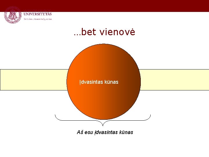 …bet vienovė Įdvasintas kūnas Aš esu įdvasintas kūnas 