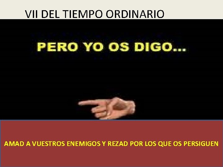 VII DEL TIEMPO ORDINARIO SÍGUEME; YO TE HARÉ PESCADOR DE HOMBRES AMAD A VUESTROS