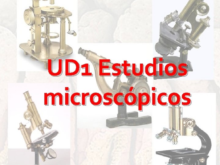 UD 1 Estudios microscópicos UD 1 Estudios microscópicos
