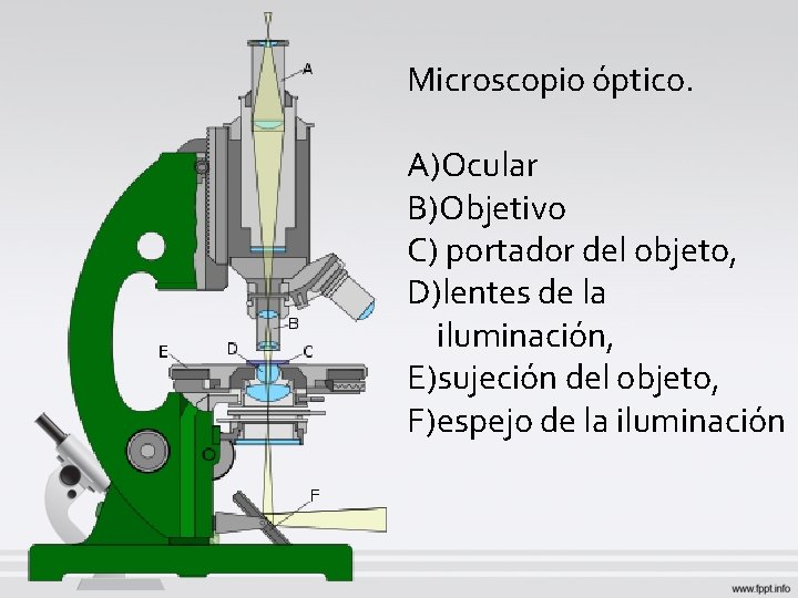 Microscopio óptico. A)Ocular B)Objetivo C) portador del objeto, D)lentes de la iluminación, E)sujeción del Microscopio óptico. A)Ocular B)Objetivo C) portador del objeto, D)lentes de la iluminación, E)sujeción del