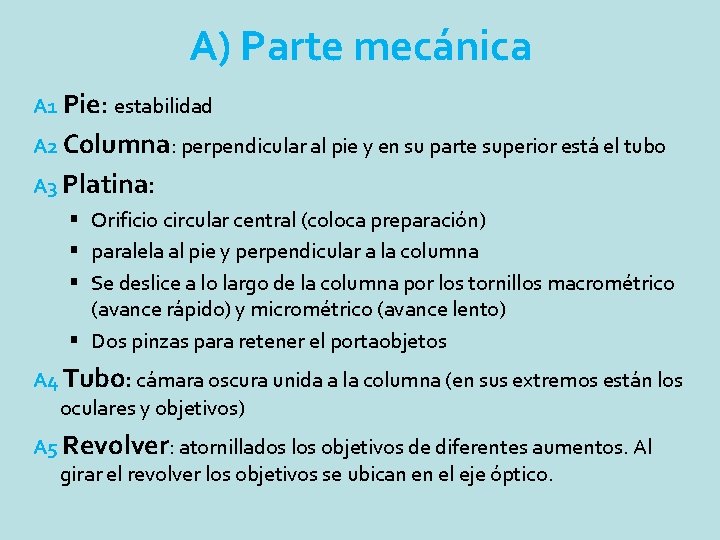 A) Parte mecánica A 1 Pie: estabilidad A 2 Columna: perpendicular al pie y A) Parte mecánica A 1 Pie: estabilidad A 2 Columna: perpendicular al pie y