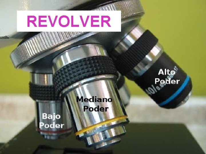 REVOLVER REVOLVER