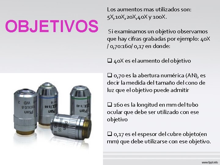 OBJETIVOS Los aumentos mas utilizados son: 5 X, 10 X, 20 X, 40 X OBJETIVOS Los aumentos mas utilizados son: 5 X, 10 X, 20 X, 40 X