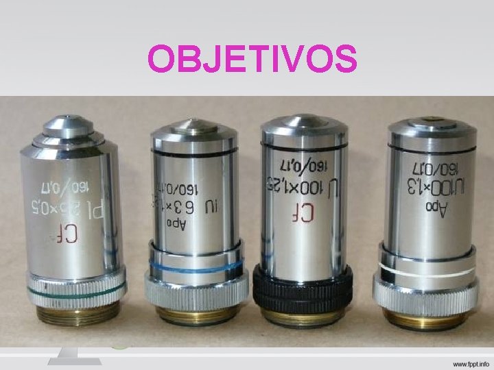 OBJETIVOS OBJETIVOS