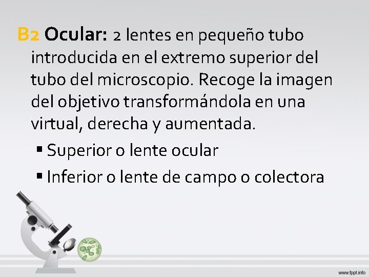 B 2 Ocular: 2 lentes en pequeño tubo introducida en el extremo superior del B 2 Ocular: 2 lentes en pequeño tubo introducida en el extremo superior del