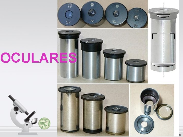 OCULARES OCULARES