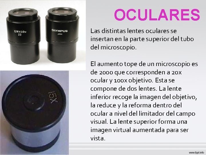 OCULARES Las distintas lentes oculares se insertan en la parte superior del tubo del OCULARES Las distintas lentes oculares se insertan en la parte superior del tubo del