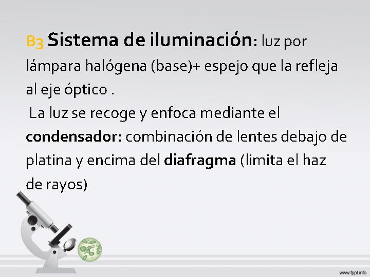 B 3 Sistema de iluminación: luz por lámpara halógena (base)+ espejo que la refleja B 3 Sistema de iluminación: luz por lámpara halógena (base)+ espejo que la refleja