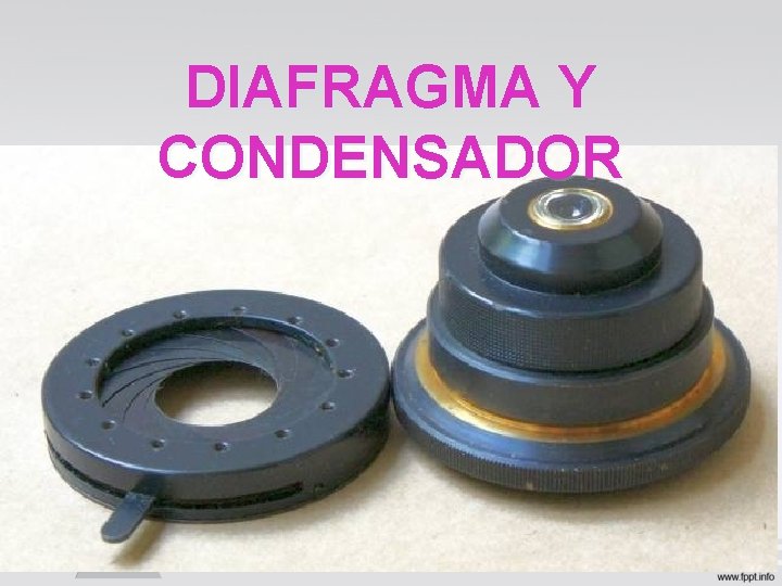 DIAFRAGMA Y CONDENSADOR DIAFRAGMA Y CONDENSADOR