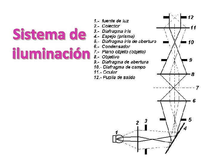 Sistema de iluminación Sistema de iluminación